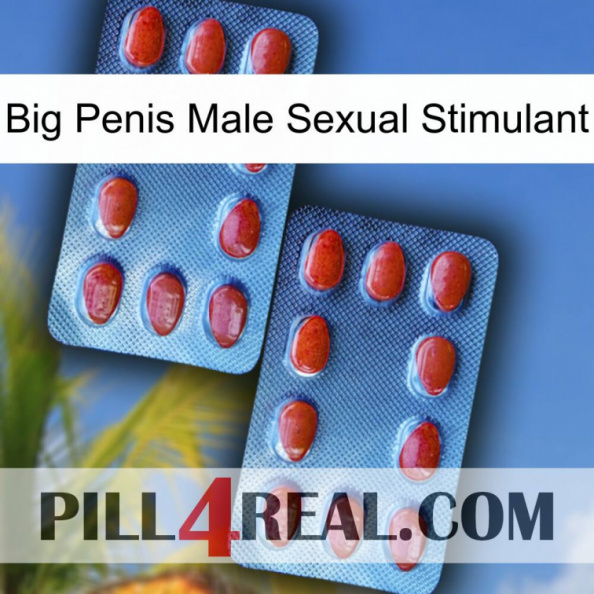 Big Penis Male Sexual Stimulant 05.jpg